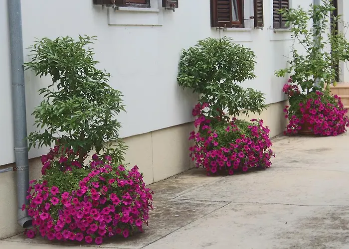 Margareta Апартаменты Сукошан